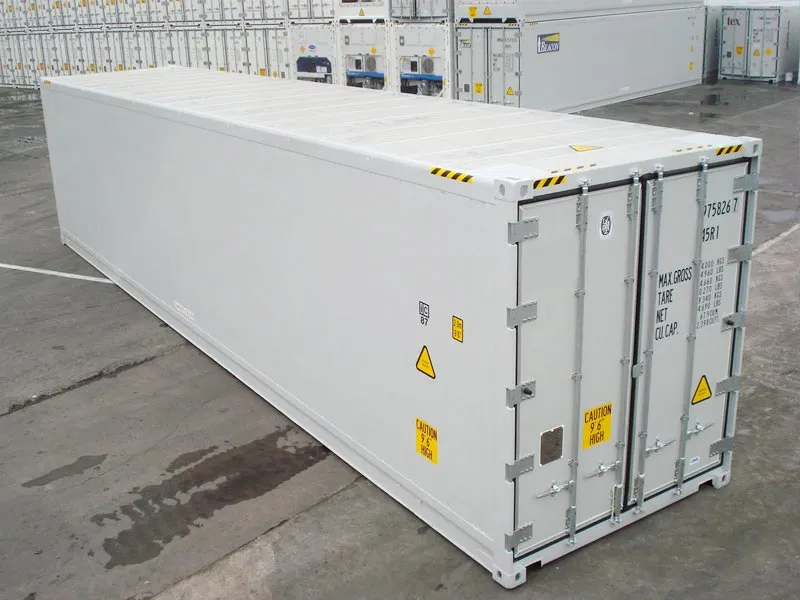 20 ft refrigerated containers