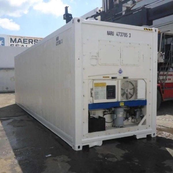 30 Feet Freezer Container Customised Mobile Cold Storage Cell Container / Reefer